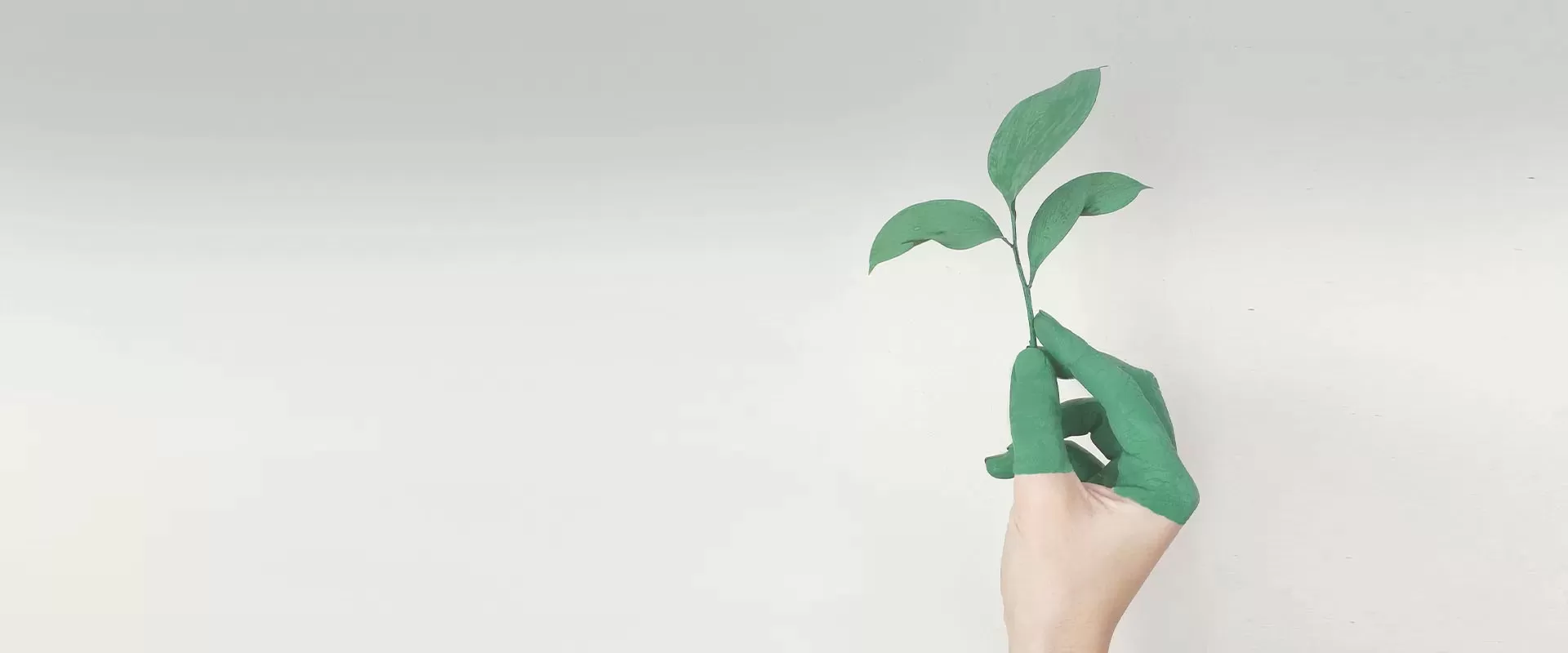 Sustainability